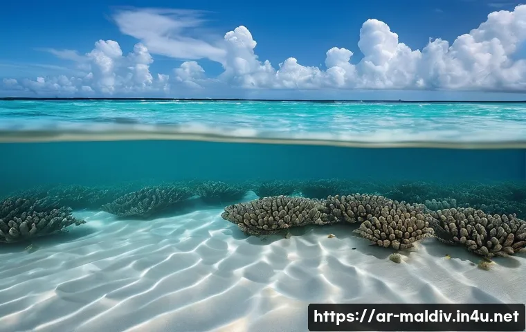 몰디브 여행과 기후 변화 관련 이미지 1