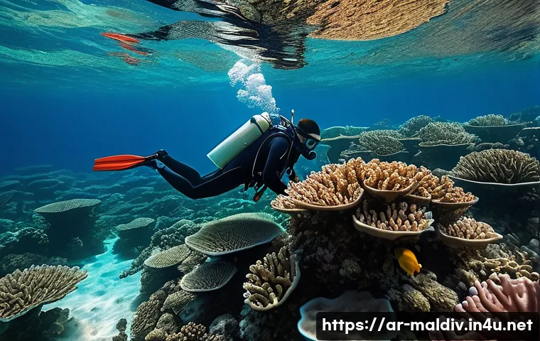 몰디브 여행과 기후 변화 관련 이미지 2